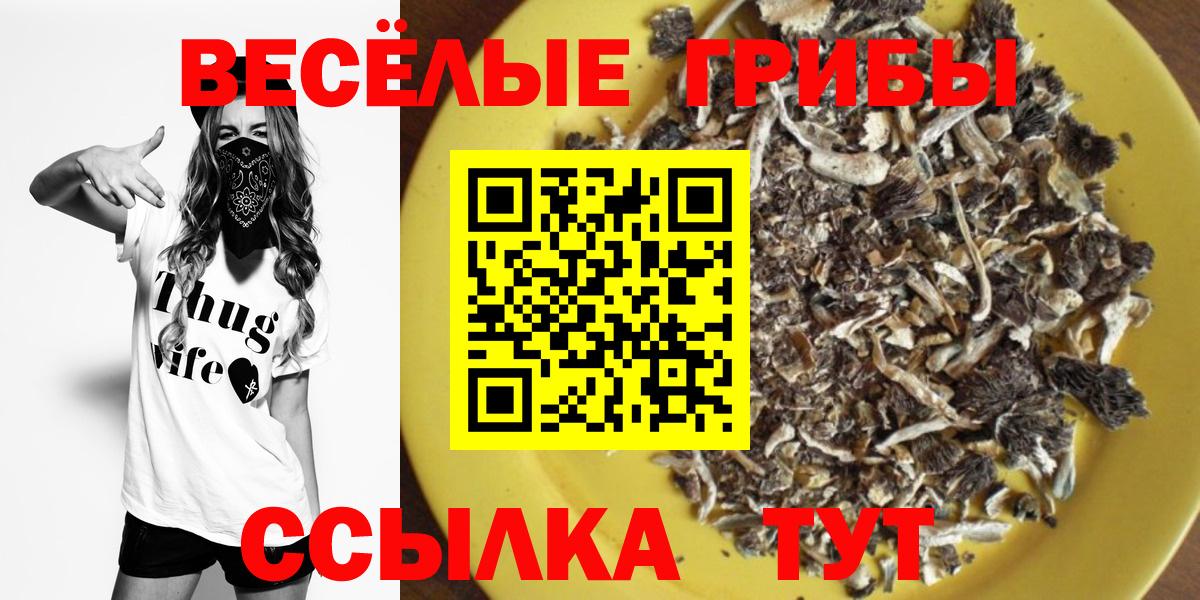 Галлюциногенные грибы MAGIC MUSHROOMS  даркнет сайт  Темрюк  Вход с VPN 